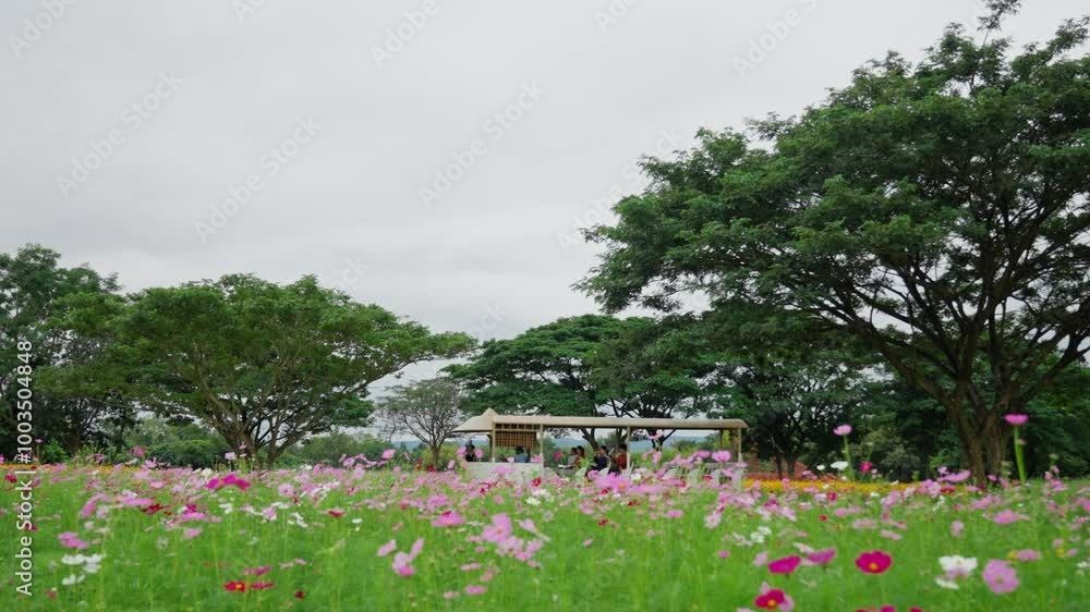 Scenic Garden of Blossoms and Trees Under a Cloudy Sky, a colorful field of flowers with trees and a tourist car pass by in the background Scenic Garden of Blossoms and Trees Under a Cloudy Sky, a colorful field of flowers with trees and a tourist car pass by in the background