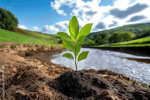 A riverbank reforestation project, with native plants being reintroduced to prevent erosion and support wildlife in the area photo