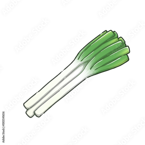 シンプルな長ねぎのイラスト