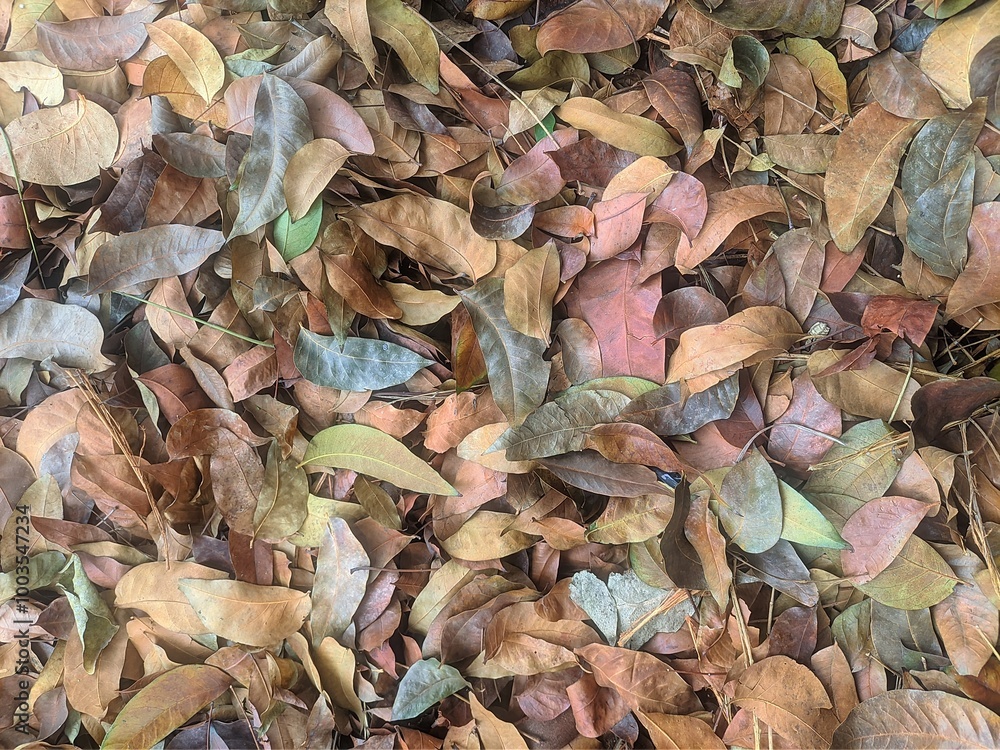 A beautiful collection of autumn leaves on the ground. The leaves are in various shades of brown, yellow, and green. They are arranged in a random pattern, creating a natural and organic texture. A beautiful collection of autumn leaves on the ground. The leaves are in various shades of brown, yellow, and green. They are arranged in a random pattern, creating a natural and organic texture.