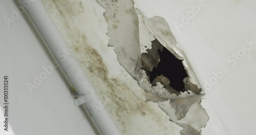 Ceiling panels with fungus outside house from water pipes damaged or rainy leaked. Office building or house problem for house service.