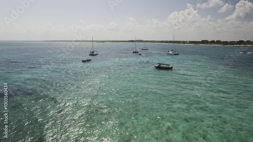 snorkeling in the caribbean sea 