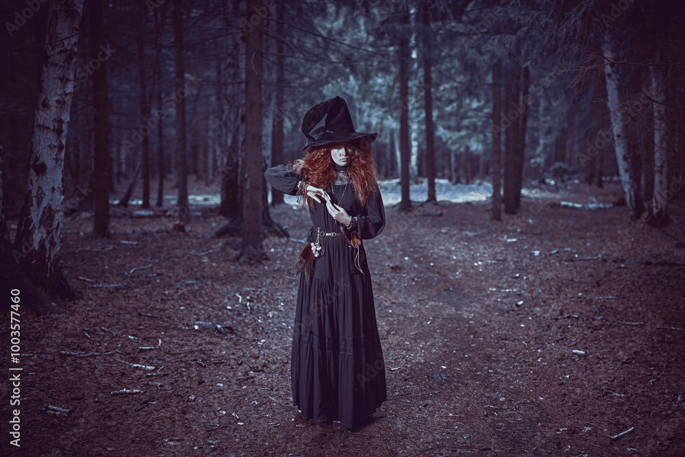 evil forest witch evil forest witch