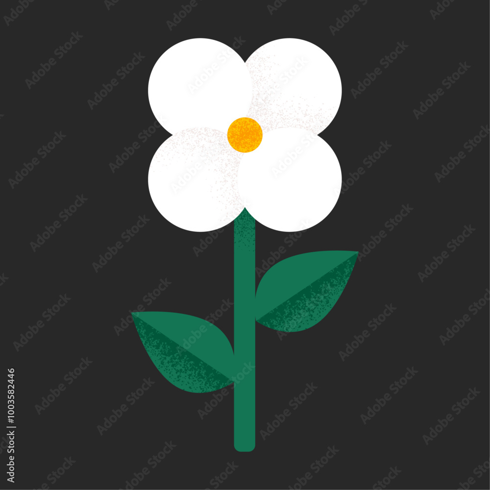 Minimalist White Flower Blooming on Dark Background Minimalist White Flower Blooming on Dark Background