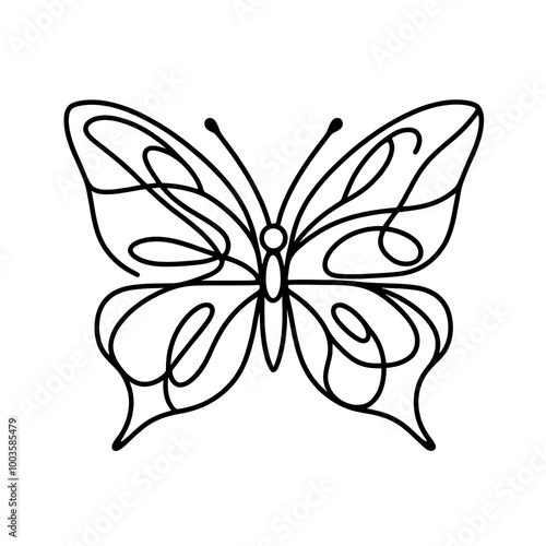 butterfly design