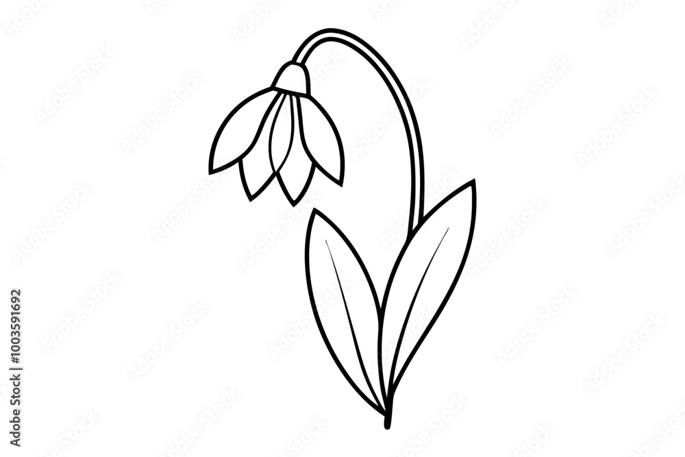 Obraz premium lily of the valley
