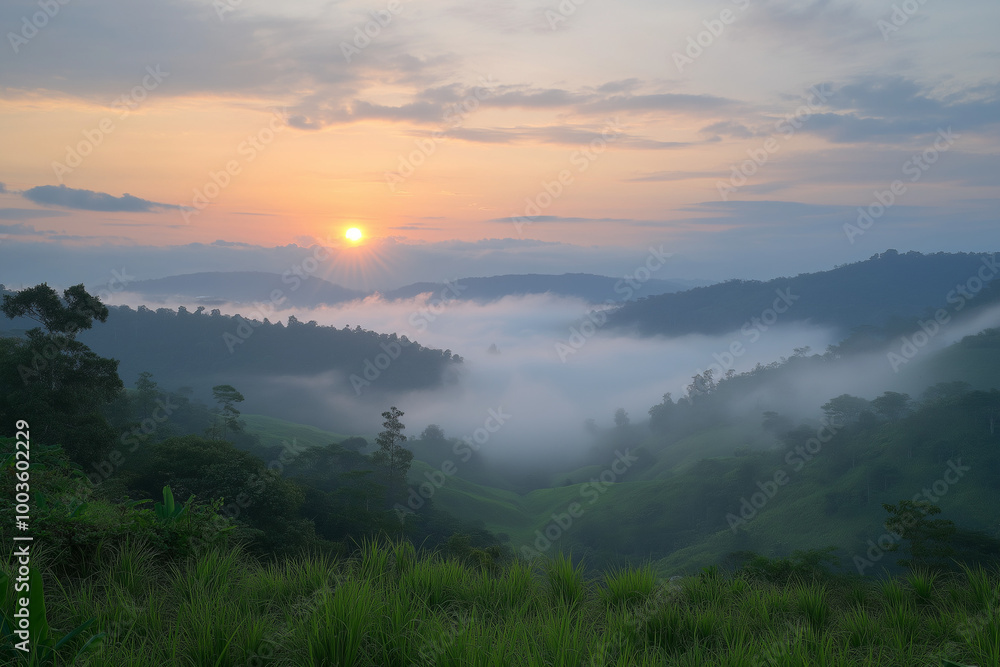 Fototapeta premium Peaceful Sunrise Over a Foggy Valley with the Sun Gently Illuminating the Mist