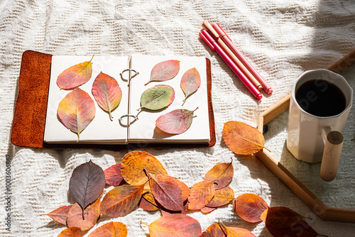 Autumn leaves arranged in notebook. Nature journaling and fall concept.