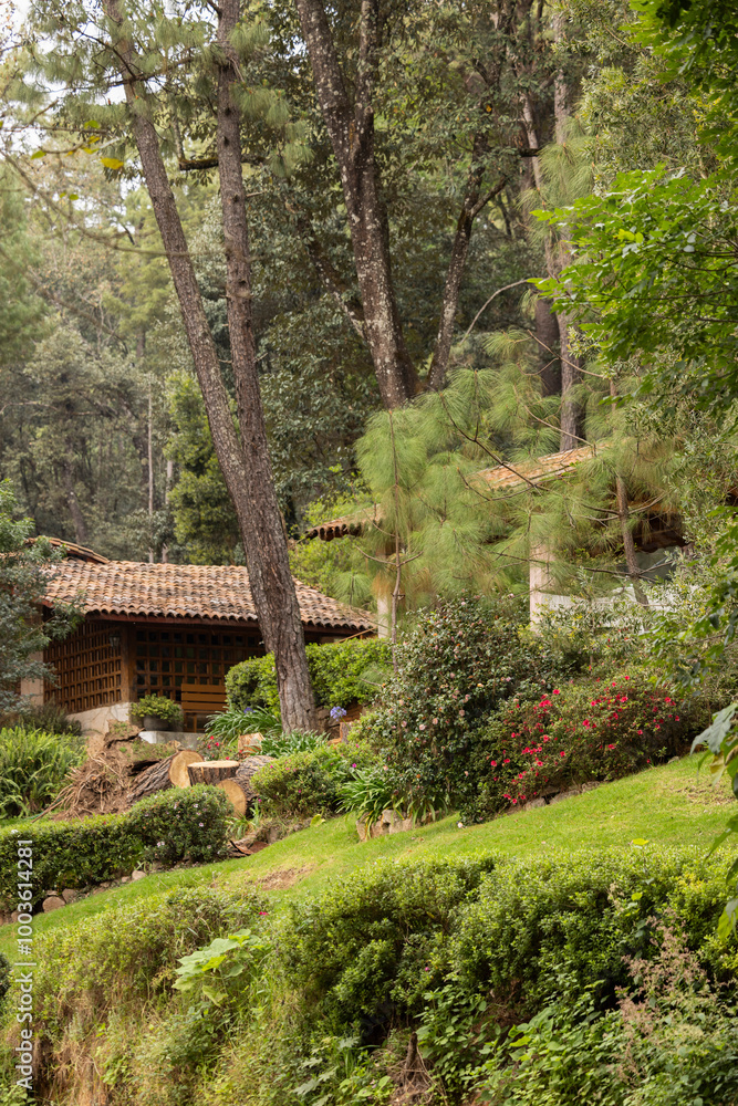 Afternoon view of cabins in a forest in Mazamitla, Jalisco, Mexico. Afternoon view of cabins in a forest in Mazamitla, Jalisco, Mexico.