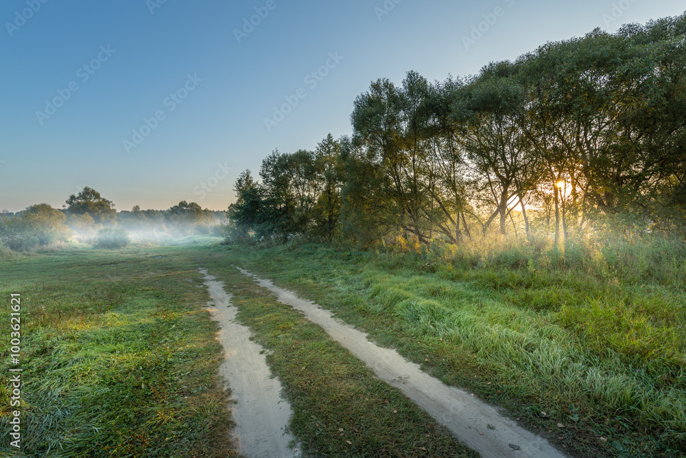 A road in a field with trees in the background A road in a field with trees in the background