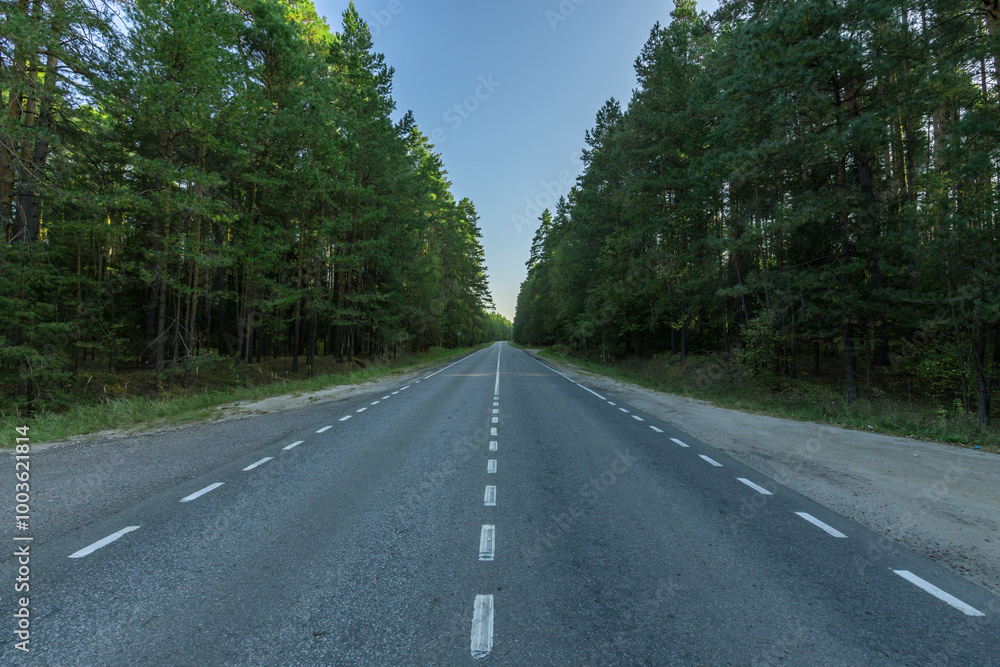 A road with a lot of trees on either side