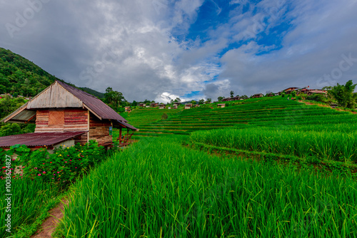 Natural background on the mountain with green rice terraces. Pa Bong Piang is one of the beautiful viewpoints in Chiang Mai, Thailand, overlooking the surrounding mountains. It is always popular.