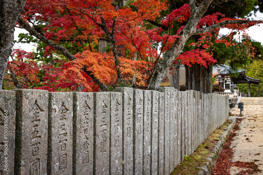 Engraved stones surrounded by red trees. Engraved stones surrounded by red trees.