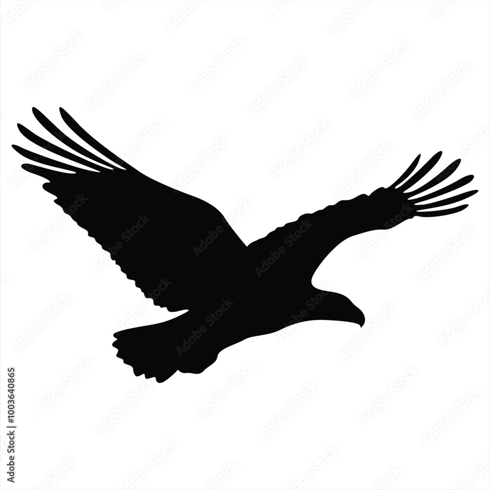 Obraz premium Vector graphic of eagle icon. Eagle logo. Line drawing. Great for car stickers, motorbikes, and t-shirts. Black and White.