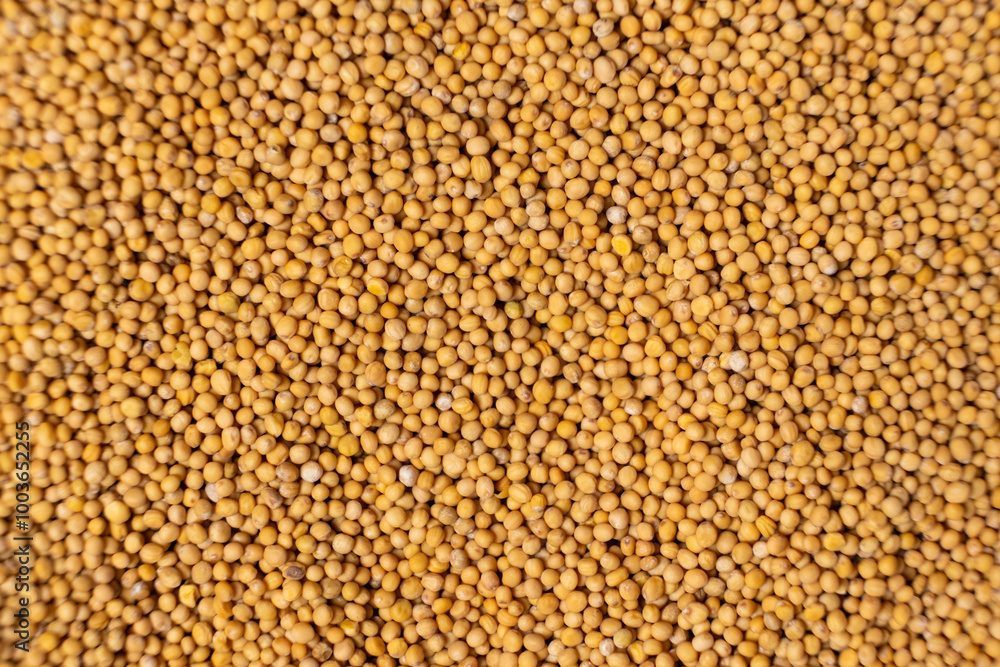 Yellow Dry Mustard Seed Background, Natural Organic Seasoning, Top View. Yellow Dry Mustard Seed Background, Natural Organic Seasoning, Top View.