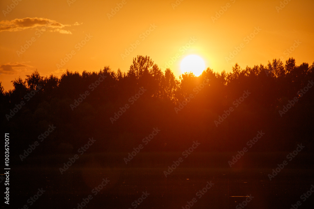 The sun is setting behind a forest, casting a warm glow over the trees