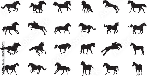 Big set of Horses Silhouettes Black Vector illustration on White Background.