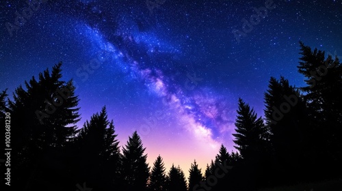 Milky Way Over Silhouetted Trees