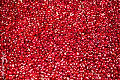 Close-up view of red adzuki beans, South Korea