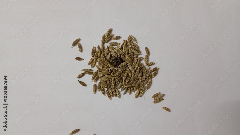 herb, green, white, spice,seasoning, natural, rice, organic, leaves herb, green, white, spice,seasoning, natural, rice, organic, leaves
