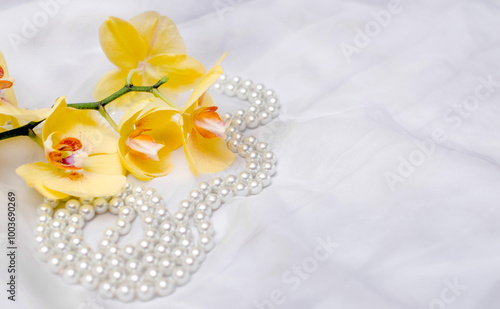 The branch of yellow orchids on white fabric background