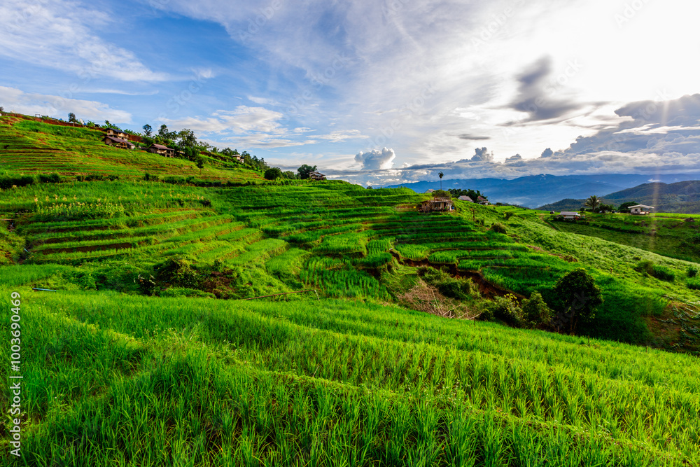 Natural background on the mountain with green rice terraces. Pa Bong Piang is one of the beautiful viewpoints in Chiang Mai, Thailand, overlooking the surrounding mountains. It is always popular. Natural background on the mountain with green rice terraces. Pa Bong Piang is one of the beautiful viewpoints in Chiang Mai, Thailand, overlooking the surrounding mountains. It is always popular.