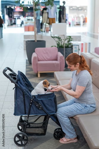 Caucasian woman petting her Jack Russell terrier dog. Shopping with a pet in the mall. Vertical photo.  photo