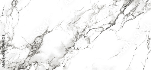 A white marble slab with a polished finish, reflecting light in a mesmerizing way, creating a sense of luxury and sophistication.