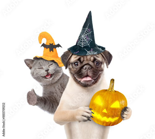 Happy cat and Pug puppy wearing  hats for halloween looks at camera. Dog holds the pumpkinn. Kitten shows thumbs up gesture. isolated on white background photo