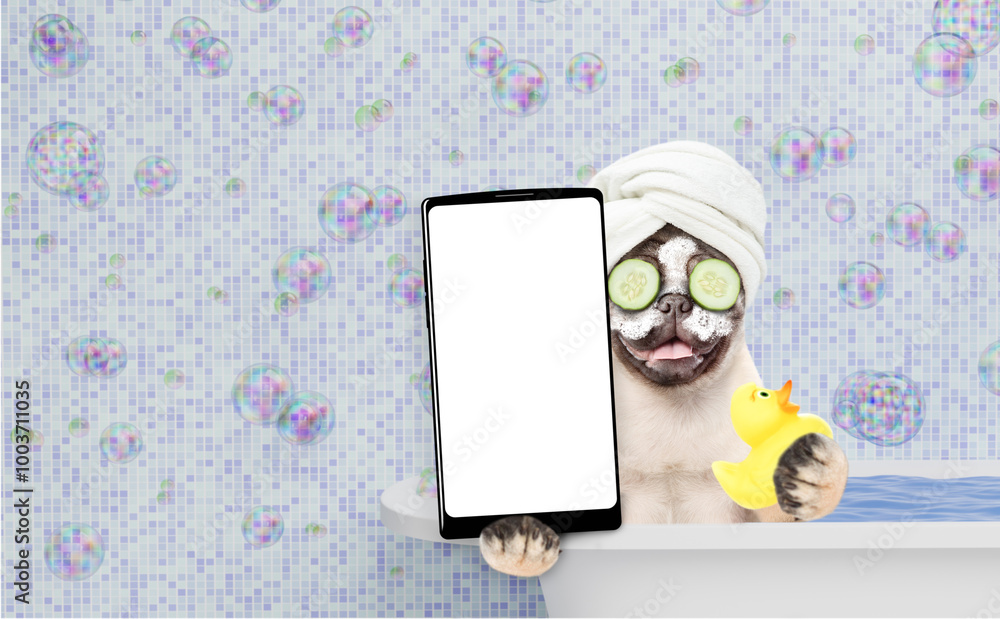 Φωτογραφία Happy Pug puppy with towel on it head and with cream on it face and with slices of cucumber in it eyes takes the bath and shows big smartphone with white blank screen in it paw
