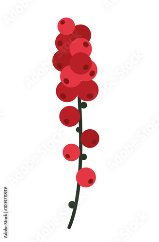 Winterberry vector illustration. Branch with red berries. Holiday decoration elements.