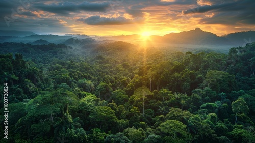 Beautiful green amazon forest landscape at sunset sunrise - ai
