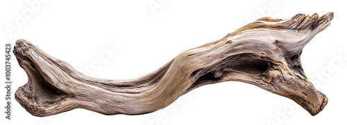 Old driftwood piece with rough texture, isolated on transparent cutout background