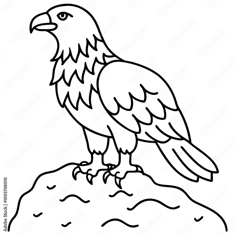 Striking Golden Eagle Vector Illustration Standing Tall and Regal in Nature
Striking Golden Eagle Vector Illustration Standing Tall and Regal in Nature