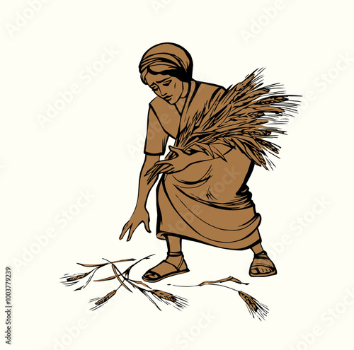 Vector drawing. A woman picks ears in the field