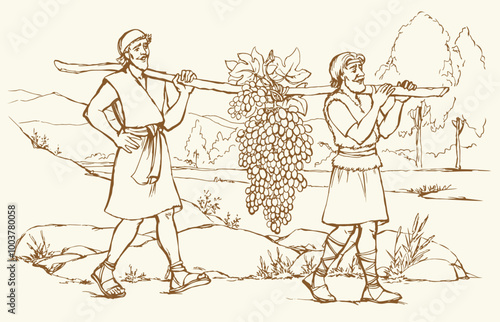 Vector drawing. Two men bear a grape.
