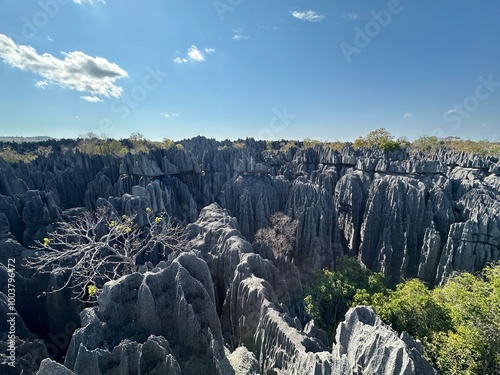 Tsingy De Bemaraha National Park. Madagascar photo