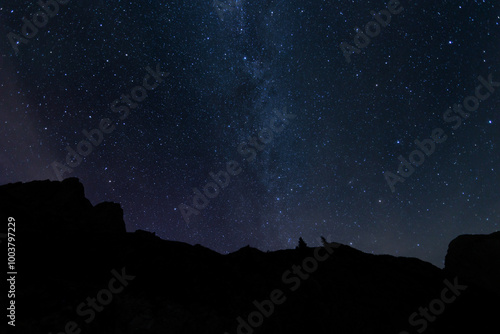Obraz na płótnie vista panoramica sul cielo stellato, sereno e scuro, di colore blu, con la via lattea visibile, da un ambiente di montagna tra Italia e Slovenia, durante una notte in estate w salonie