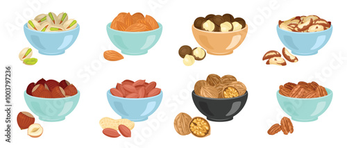 Set of nuts in bowls. Almond, macadamia, brazil nut, hazelnut, peanut, walnut, pecan and pistachio. Vector cartoon flat illustration