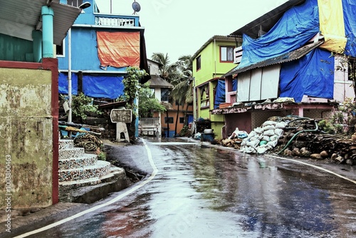 Canvas Print Village road, India, Asia