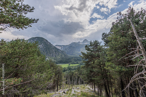 vista panoramica da un bosco di montagna verso una valle ed alcune montagne distanti nell'Italia nord orientale, vicino a Tarvisio, di pomeriggio, in estate, sotto un cielo nuvoloso photo