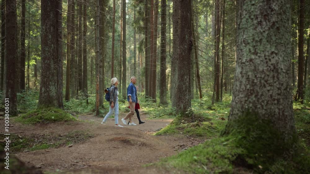 Grandmother, mother and daughter walking together holding hands on pathway in forest. Senior and adult woman, little girl enjoy strolling in park, talking and smiling. Grandmother, mother and daughter walking together holding hands on pathway in forest. Senior and adult woman, little girl enjoy strolling in park, talking and smiling.