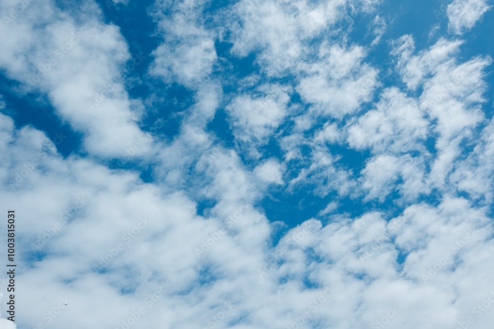さわやかな秋の晴天の青空と薄い雲の背景 アウトドア・行楽・キャンプ さわやかな秋の晴天の青空と薄い雲の背景 アウトドア・行楽・キャンプ
