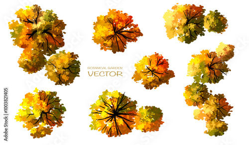 Tree or forest top view for landscape layout,watercolor plant for architecture drawing, environment and garden,botanical elements for plan,blooming tree in autumn 