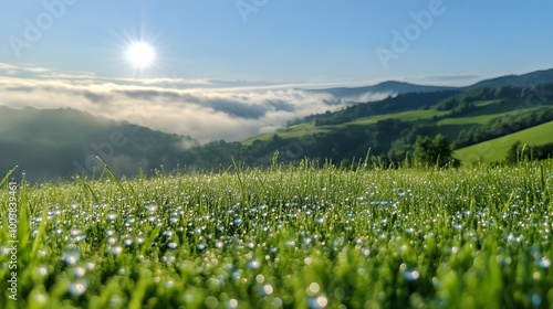 Close-up of dew-covered spherical shapes on green hills, glistening in daylight, vibrant landscape under a clear blue sky, serene nature scene