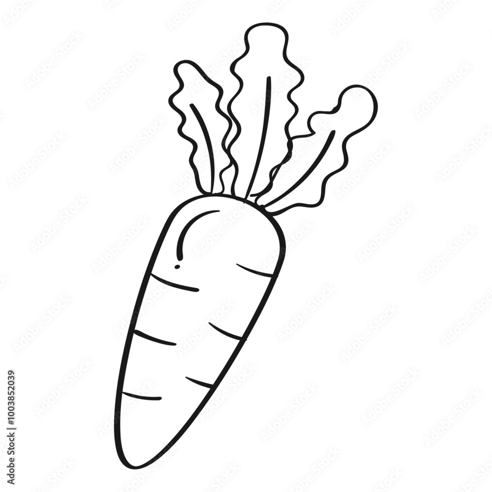 Carrot isolated on white background Organic healthy food hand drawn doodle illustration Carrot isolated on white background Organic healthy food hand drawn doodle illustration