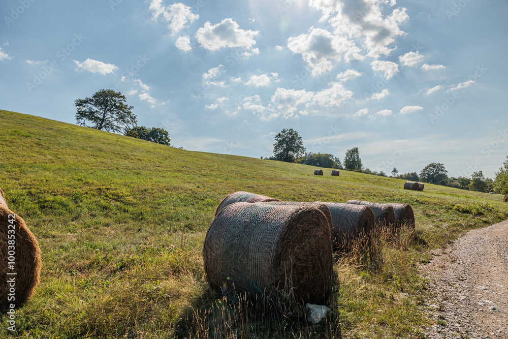 panoramica su varie balle di fieno in un prato in un pendio collinare verde, di pomeriggio, sotto un cielo sereno e chiaro, nella Slovenia occidentale