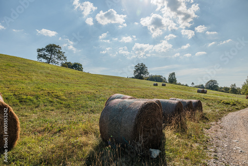 Obraz na płótnie panoramica su varie balle di fieno in un prato in un pendio collinare verde, di pomeriggio, sotto un cielo sereno e chiaro, nella Slovenia occidentale w salonie
