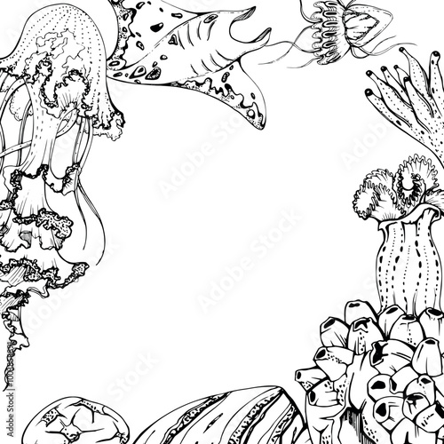 Marine life, sea ocean underwater creatures fish, shells algae seaweed, Ink and pen sketch hand drawn. Border frame illustration, stylized, isolated on white. For zoo shop, aquarium, cosmetics, resort