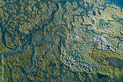 Ria Formosa Natural Park in Olhao, Algarve, Portugal